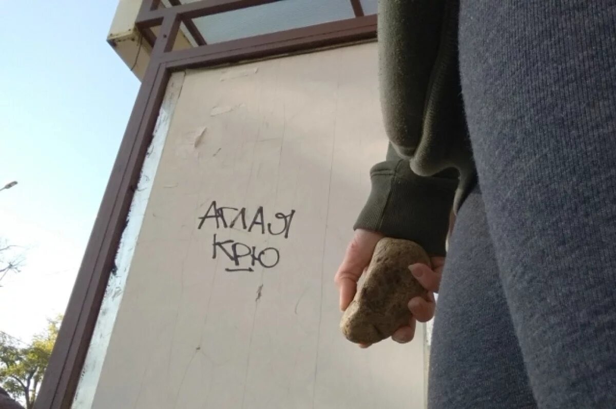    В Керчи вандалы разгромили фигуры сказочных героев в Казенном парке