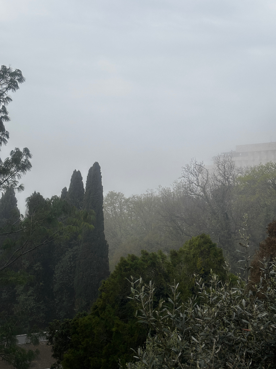 туман вид на море