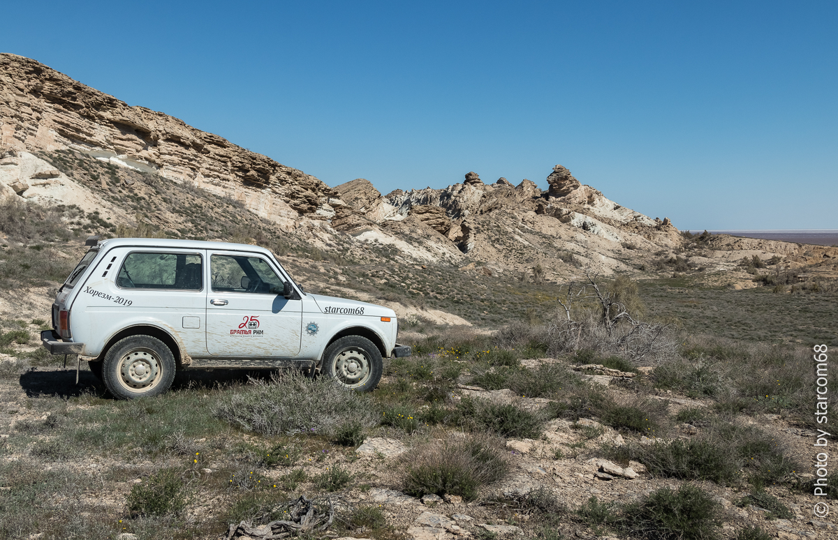 На подъезде к черепаховому оазису в урочище Улькентумсык