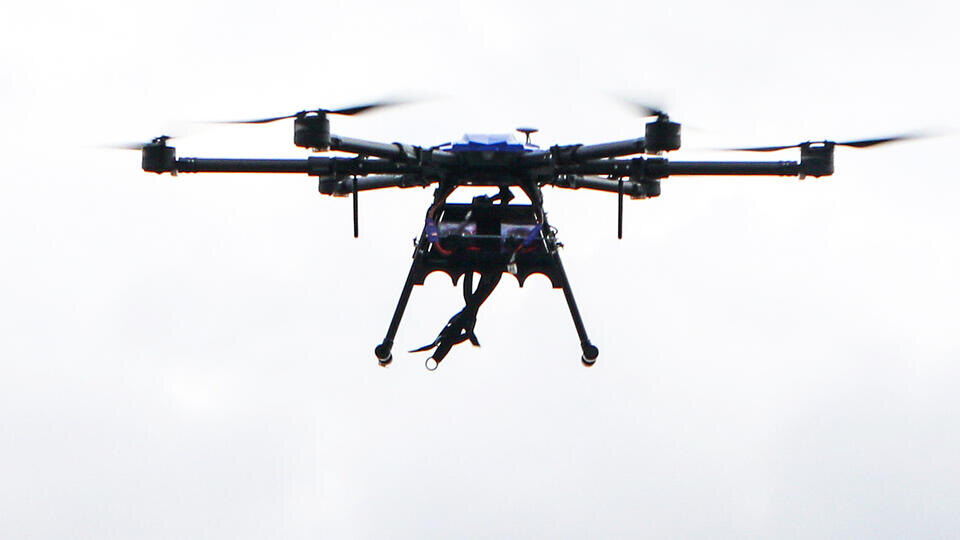 Фото: © www.globallookpress.com/Vyacheslav Madiyevskyy/Keystone Press Agency