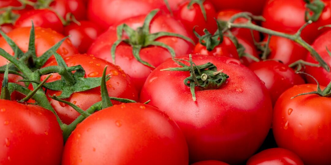 Сладкие, как фрукты: помидоры, за которыми соседи будут охотиться