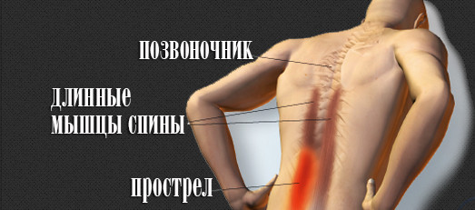Источник изображения - Яндекс Картинки