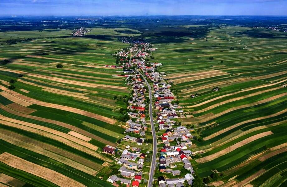    Фото: nicenews.com