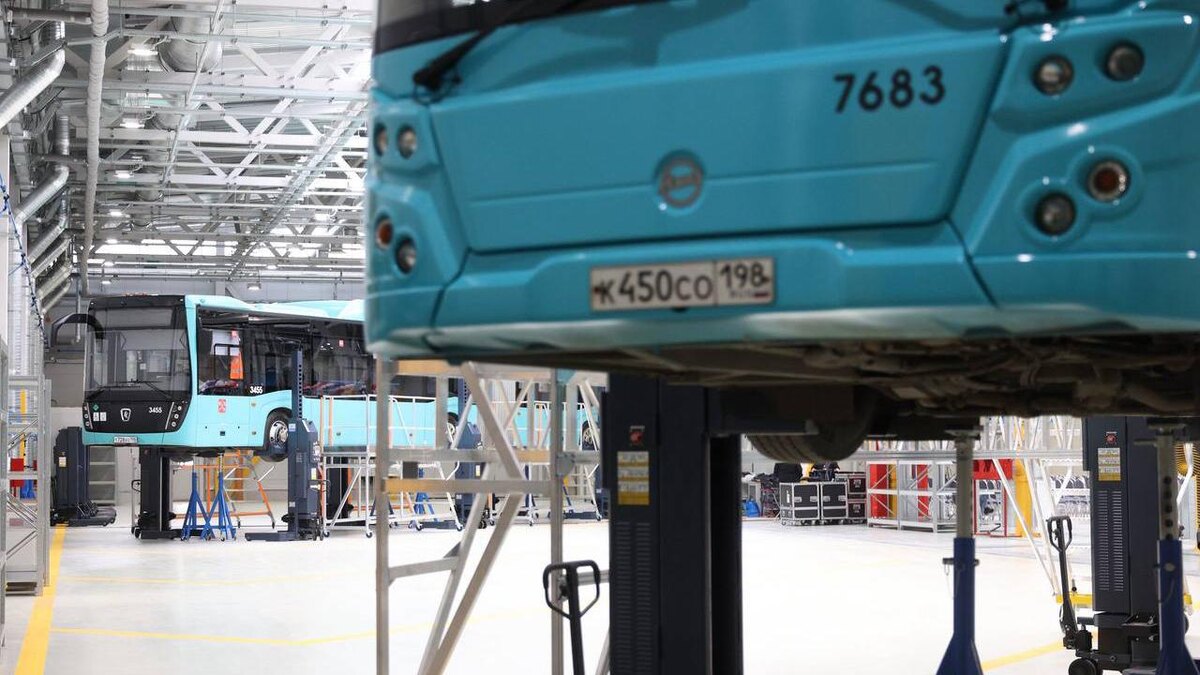    Фото: t.me/patspb