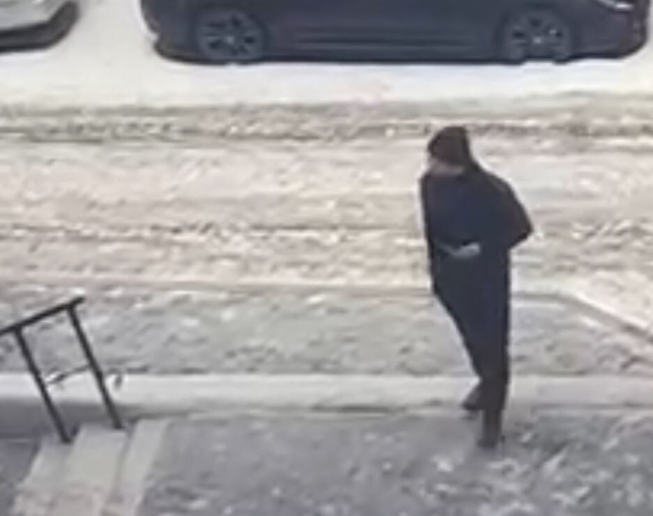 Фото/видео: ГУ МВД России по краю