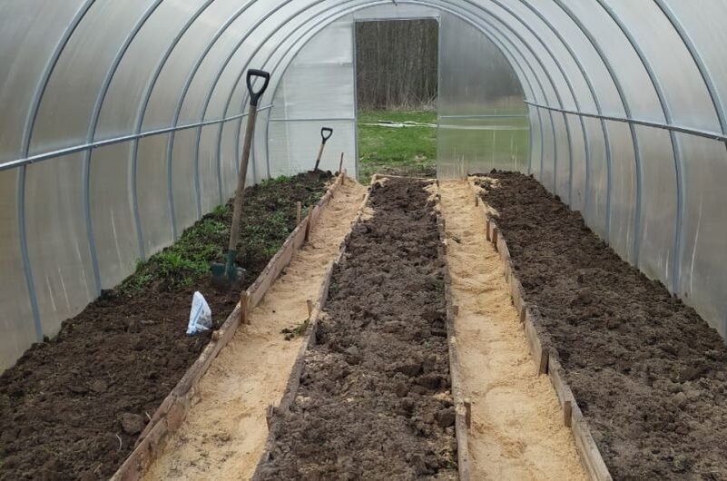 Обязательная обработка почвы в теплице весной от вредителей и болезней. Самые рабочие препараты