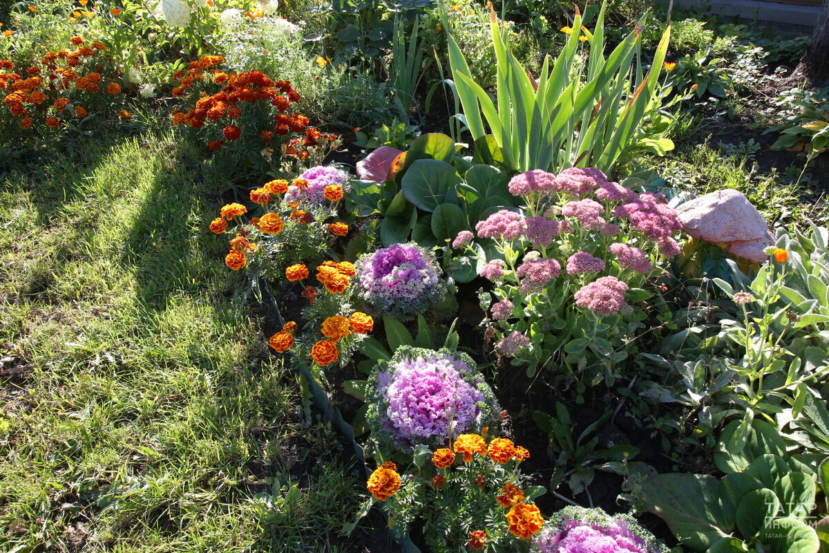 Фото: © Султан Исхаков / «Татар-информ»