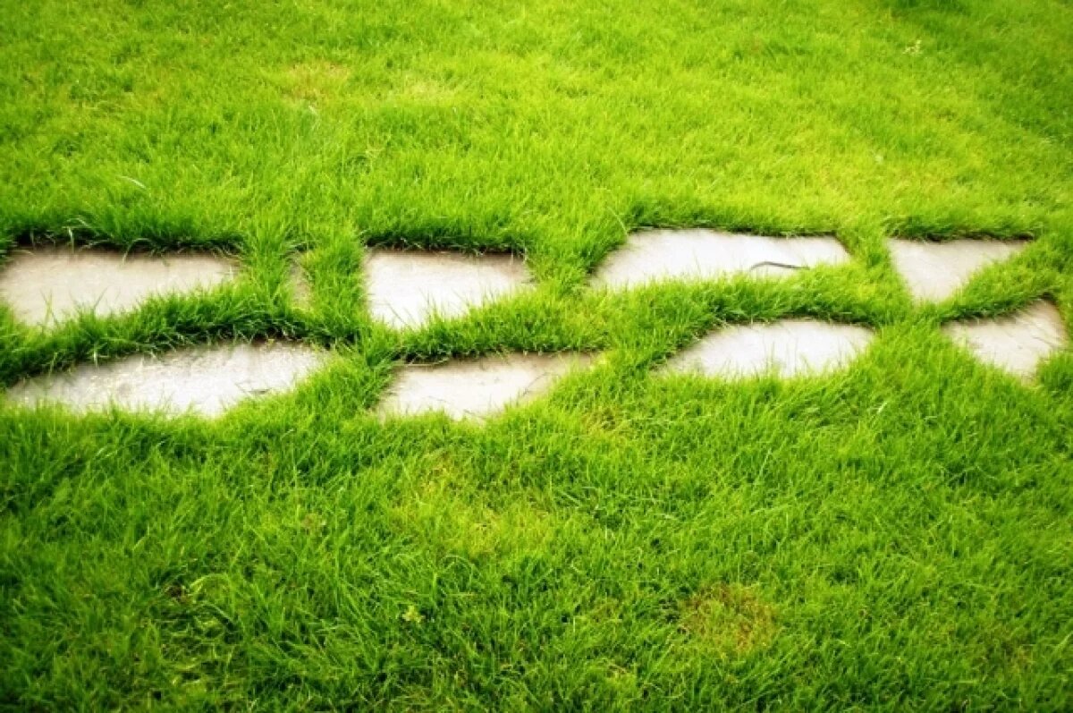    Госэкспертиза выдала положительное заключение проекту парка в Новосибирске