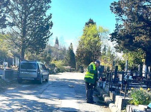 Фото: Telegram/МЦУ Сочи  📷
