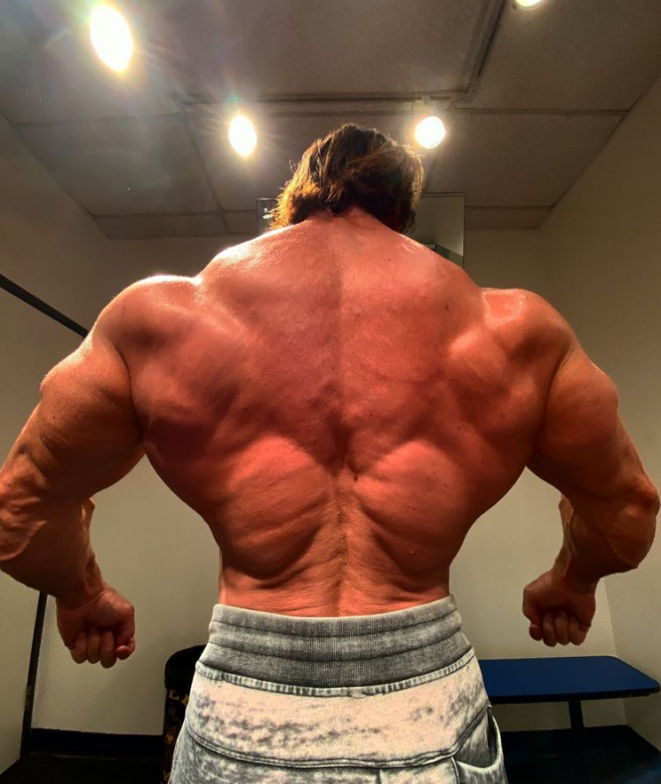 крутая спинища, правда? это всё без ААС!!! всё серьезно и грамотно, дешево и сердито)