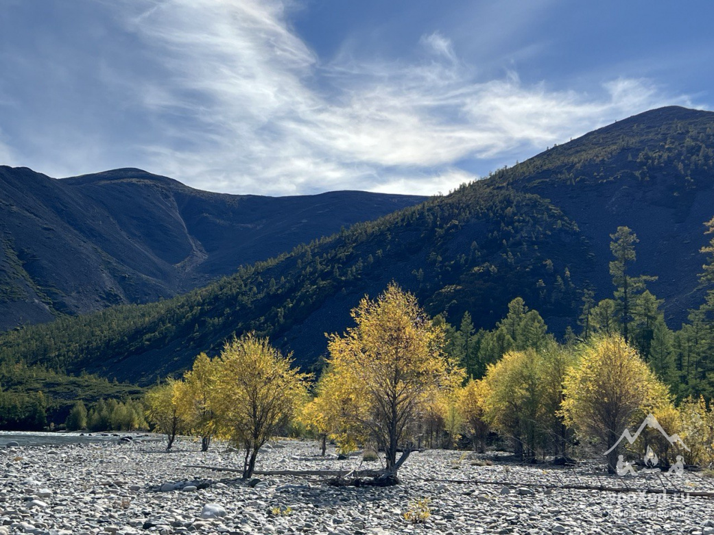  Автор фотографии: Елена