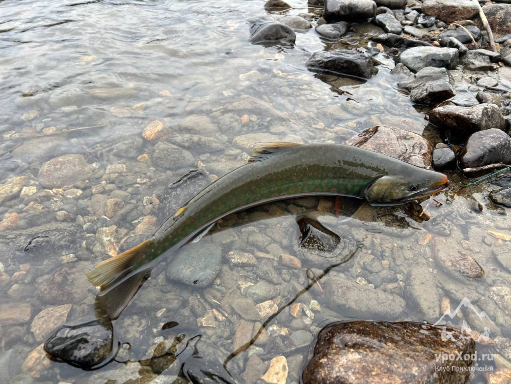  Автор фотографии: Андрей