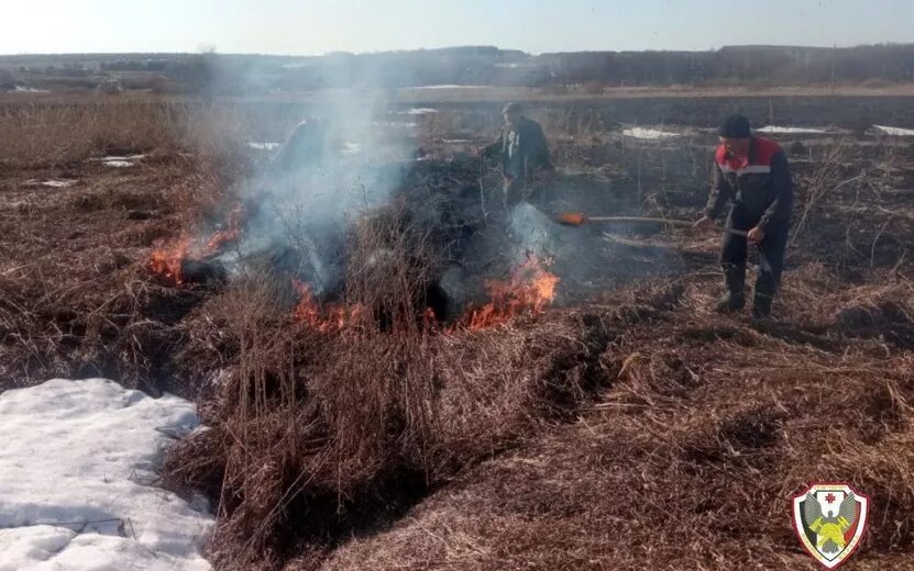    Ландшафтный пожар произошел в Граховском районе