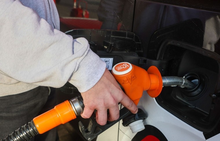    Наталья Шатохина/NEWS.ru