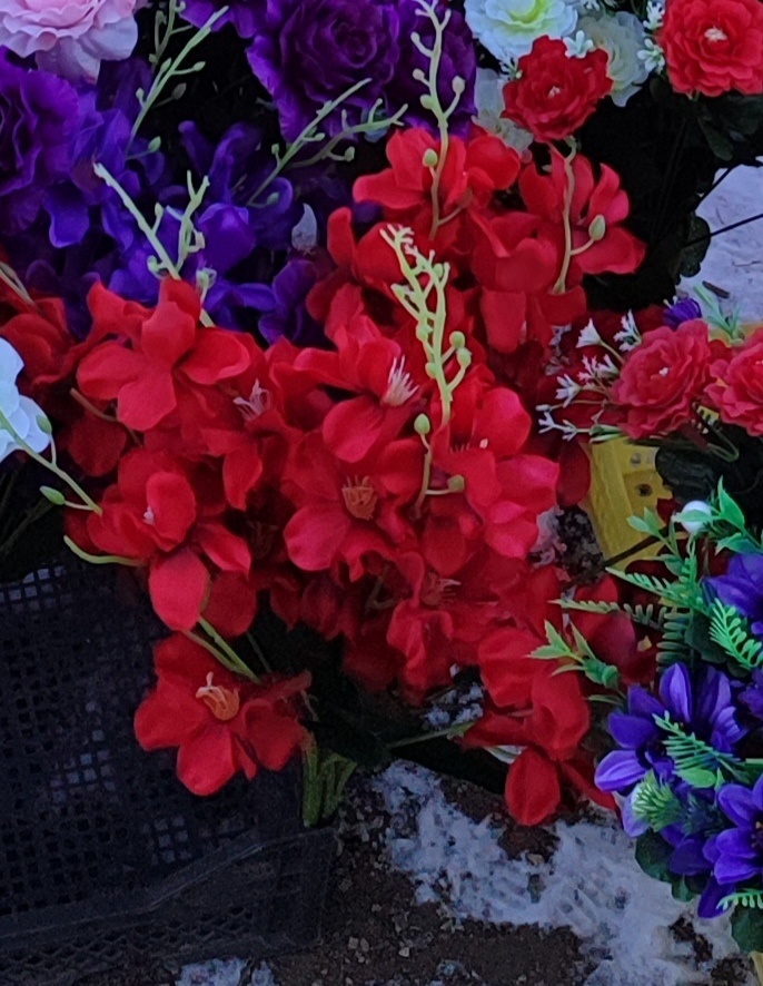 Вроде нормальные, и чего не пошли....