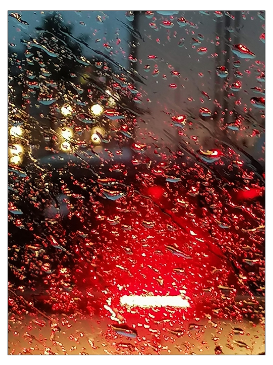 Наши с мужем автопокатушки. Август 2020 года. (фото моего исполнения)