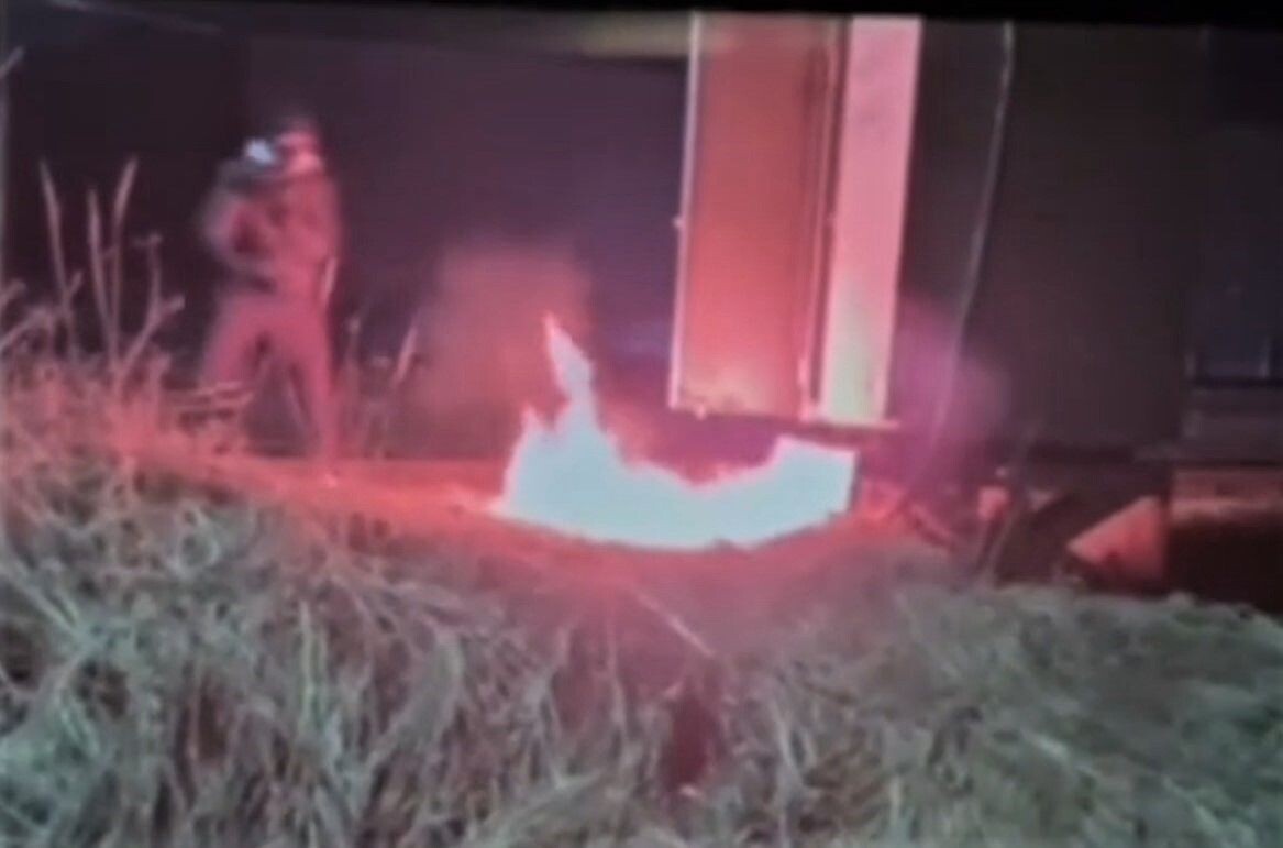     / Источник: Кадр из видео