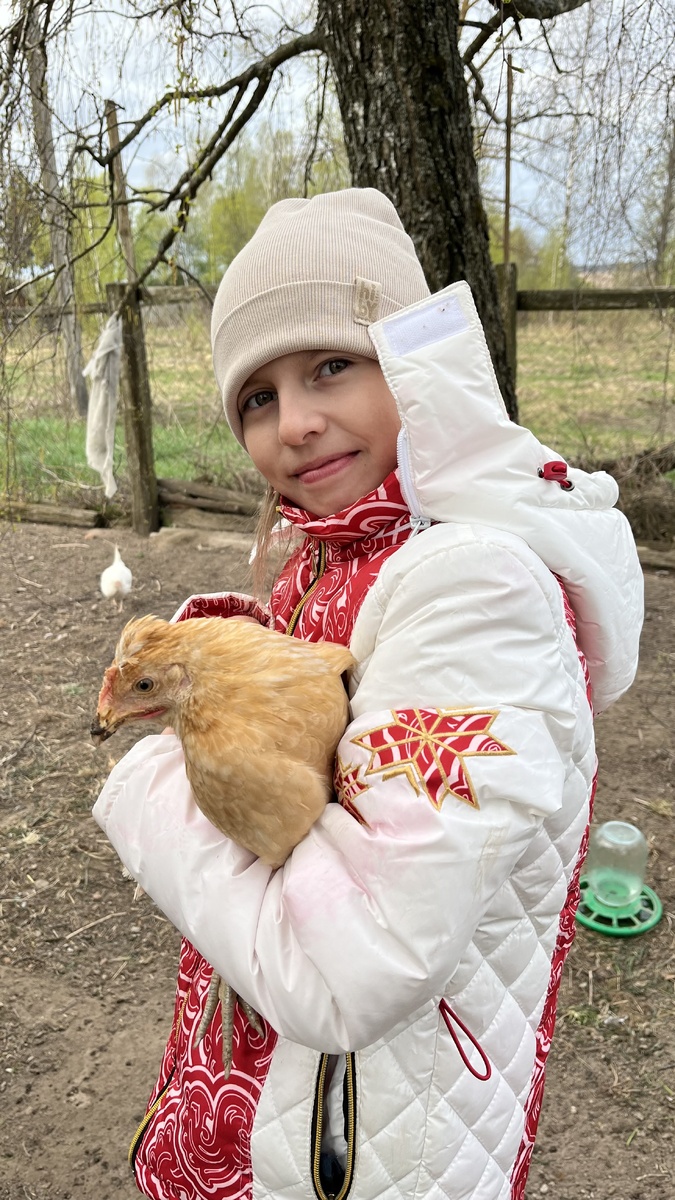Одна из наших курочек в руках у дочки
