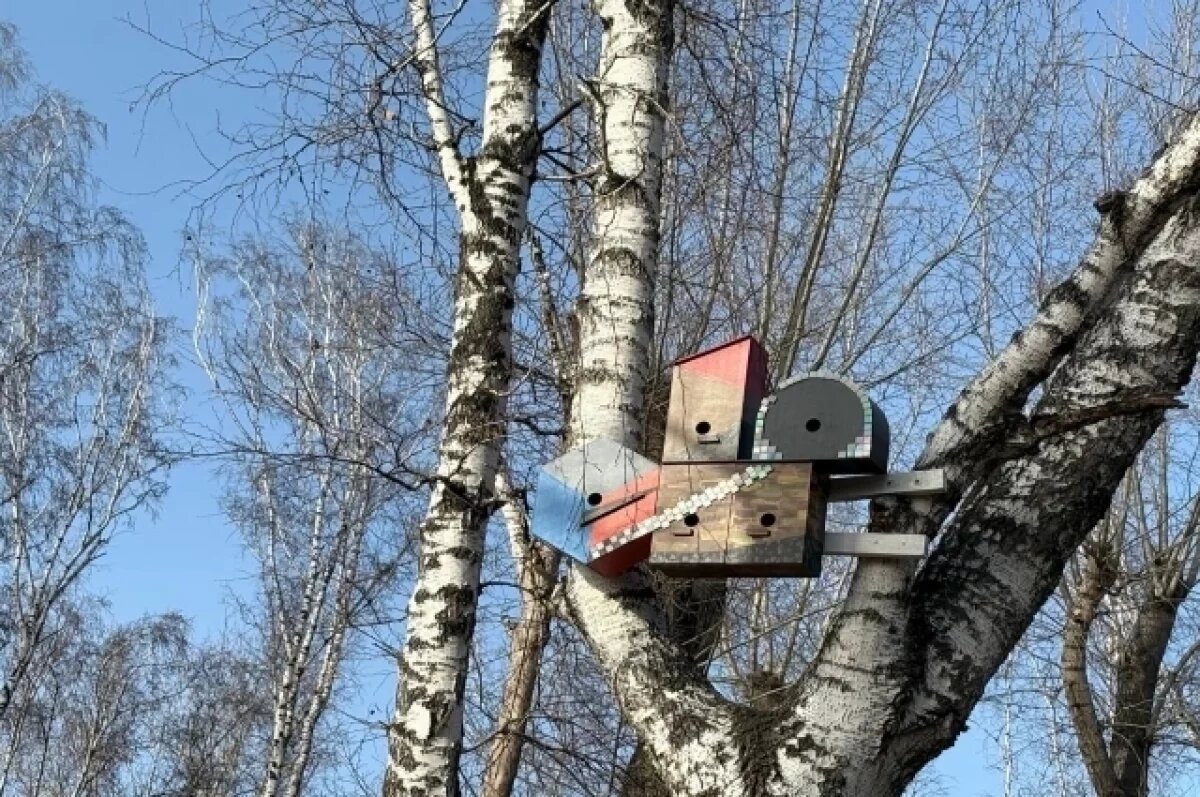    ЧМК поддержал проект по созданию арт-скворечников