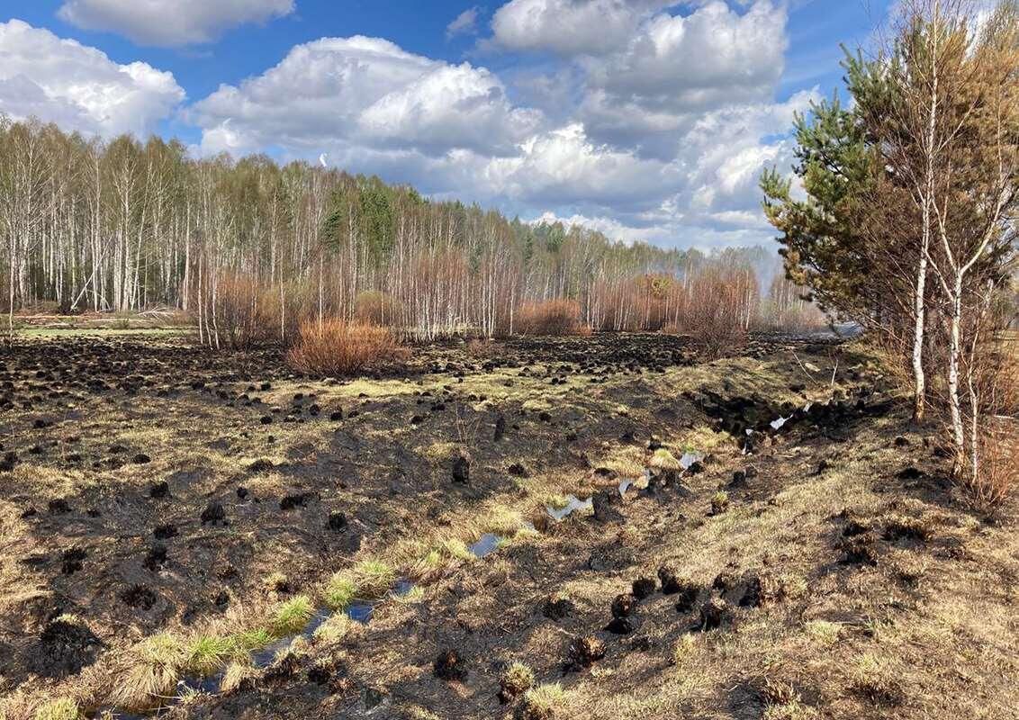    Безречный. фото Лахтикова Е. stalker