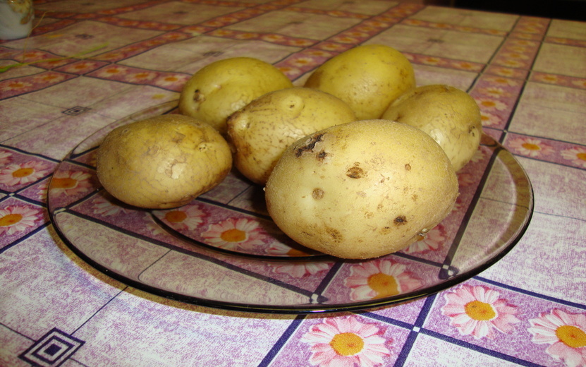    В России предложили урегулировать цены на картофель