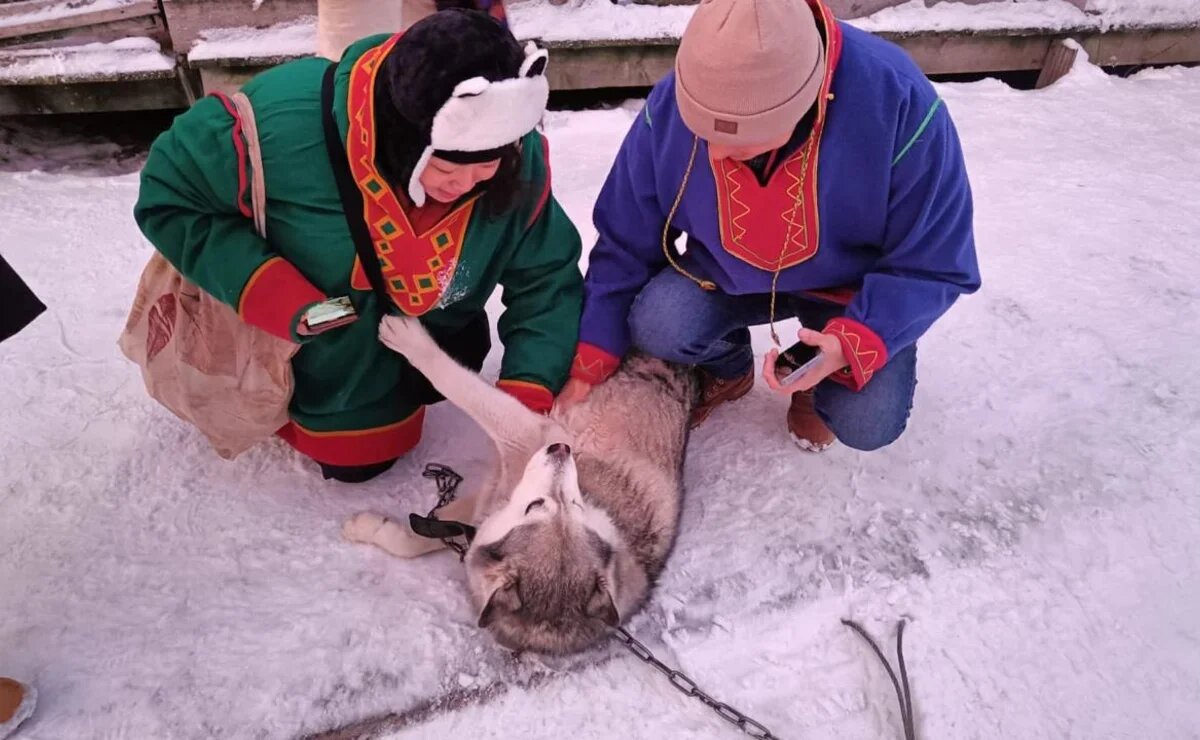    Исследование туризма в Арктике: высокие доходы, но низкая доступность