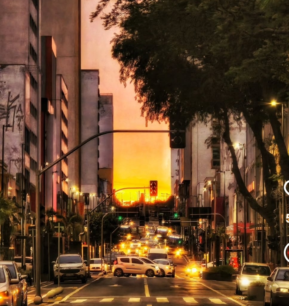 Город Кампинас. Штат Сан-Паулу. 