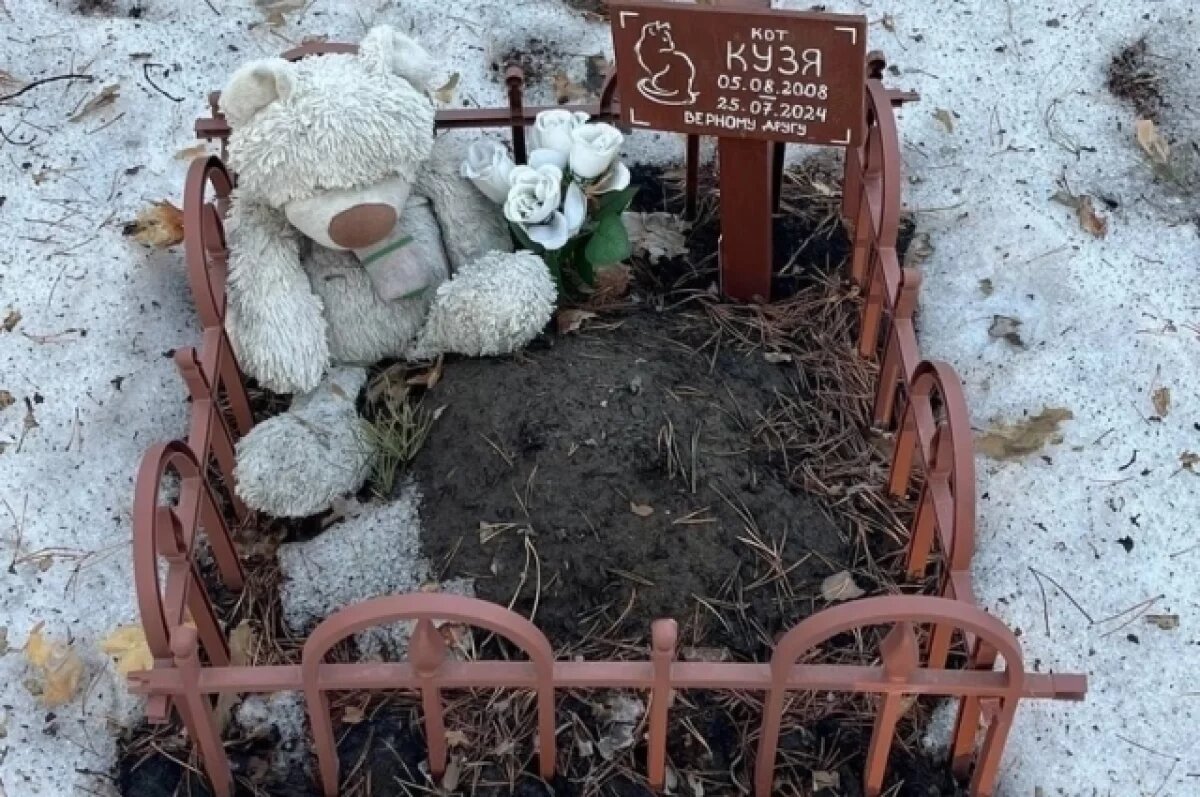    На окраине Тюмени, рядом с жилым комплексом, местные жители самовольно организовали кладбище домашних животных.