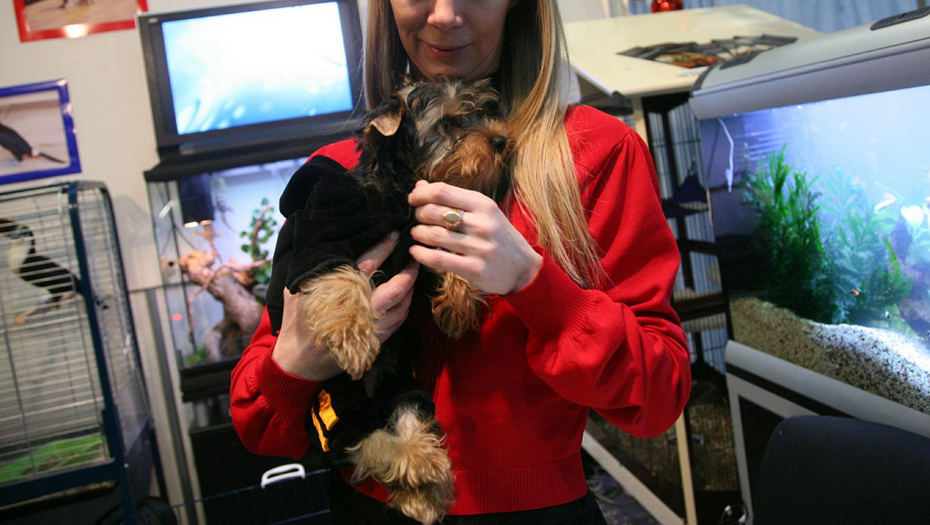    Автор фото: Антонина Байгушева / "ДП"