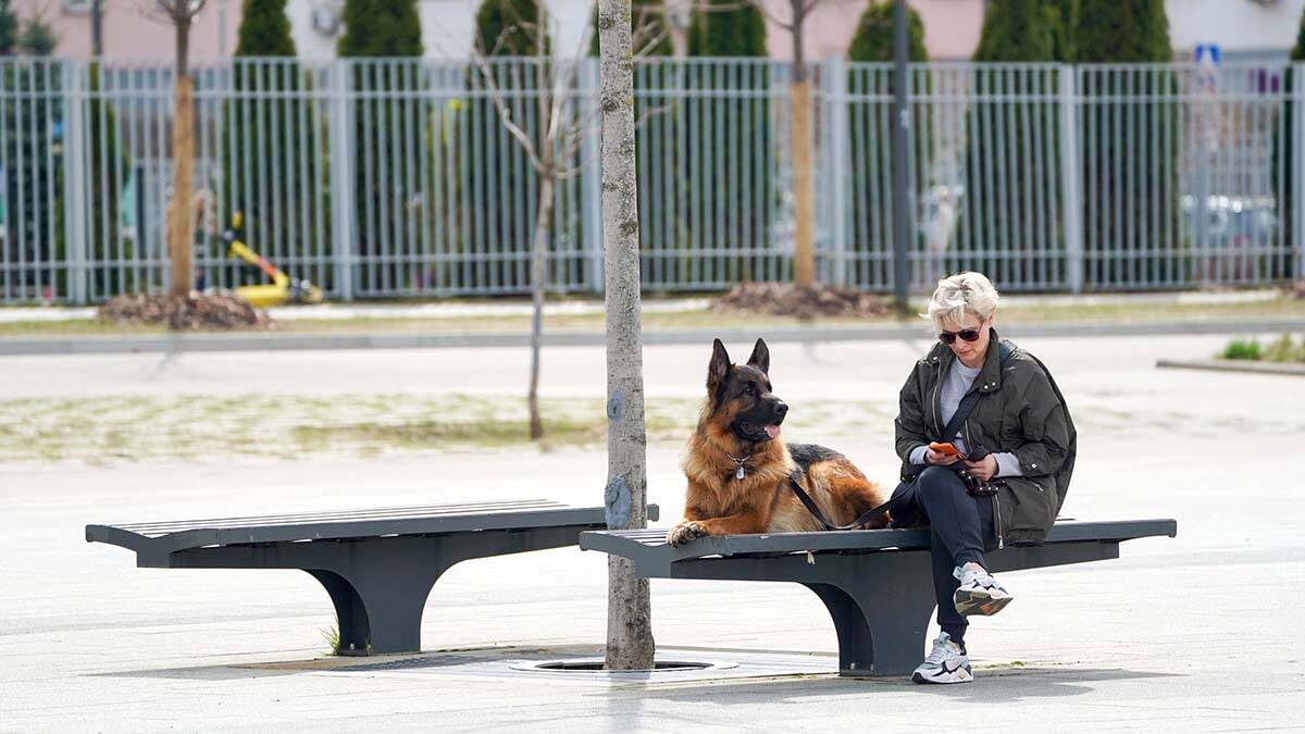    Фото: Пелагия Тихонова / АГН Москва