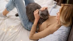 Кошки — это удивительные создания, которые часто проявляют свою привязанность к людям необычными способами