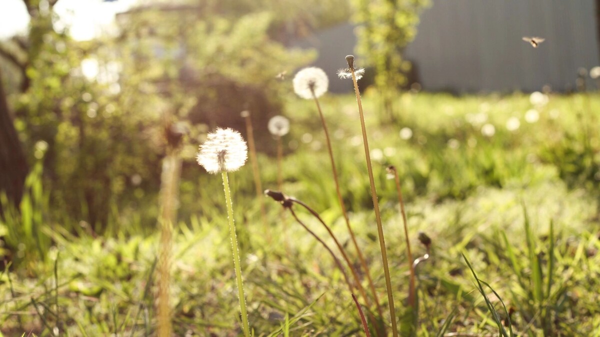     Источник: 1MI