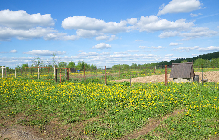 Фотобанк Лори