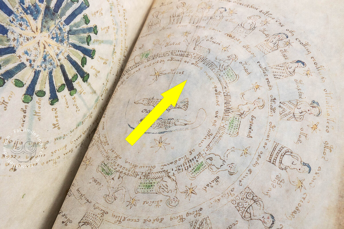    Рукопись Войнича: Как разгадать тайну нечитабельного текста XV века?