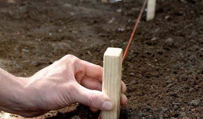 Яндекс Картинки.