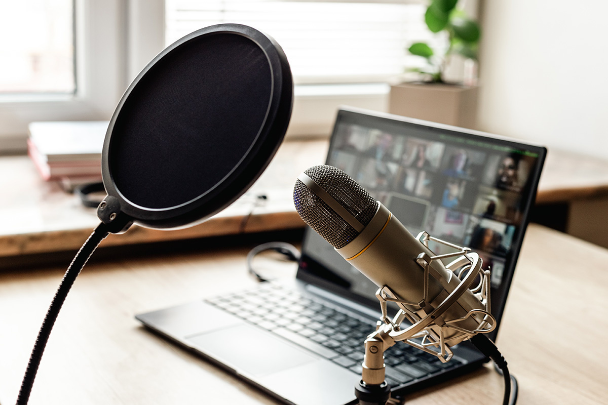 9dream studio / Shutterstock / FOTODOM📷Проблемы с подключением могут возникнуть как со штатным микрофоном, встроенным в ПК, так и внешним