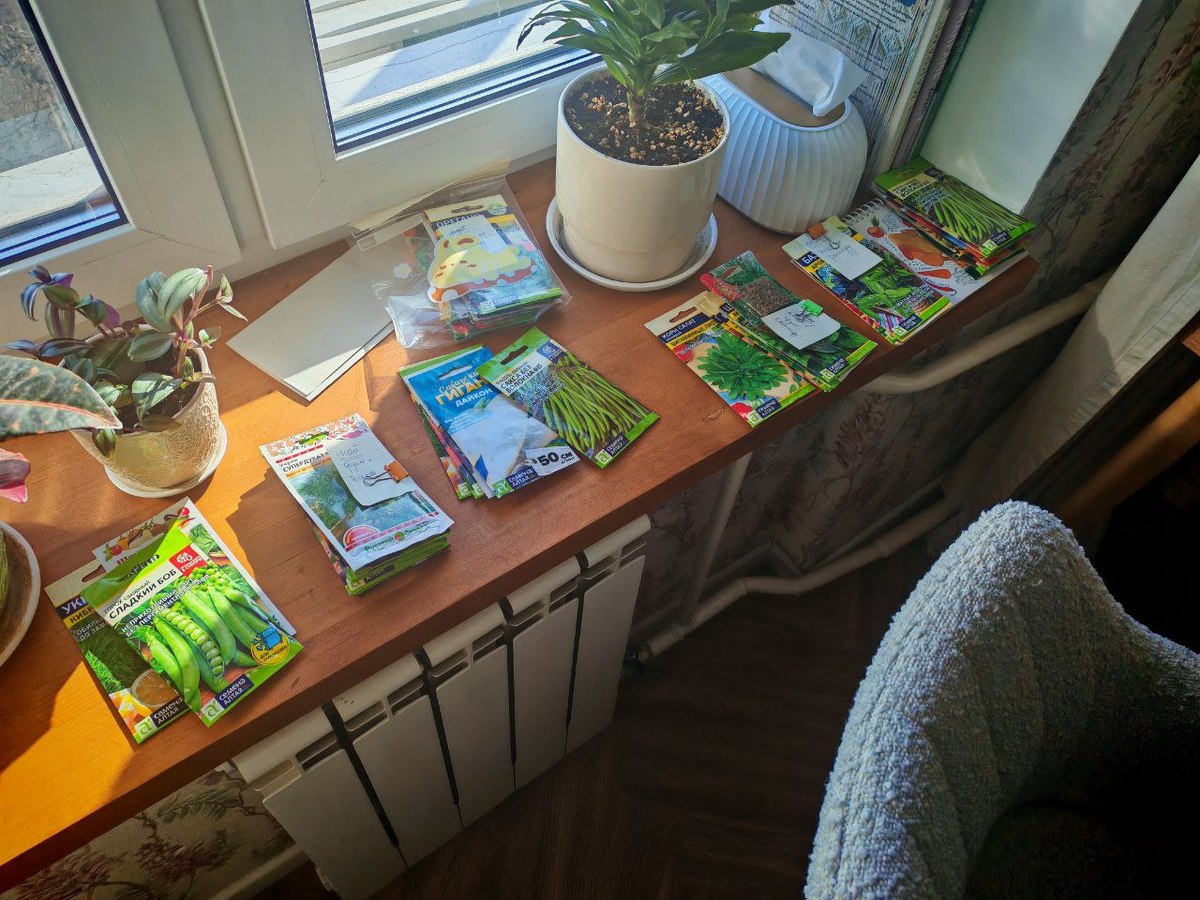 Семена на посадку в этом году