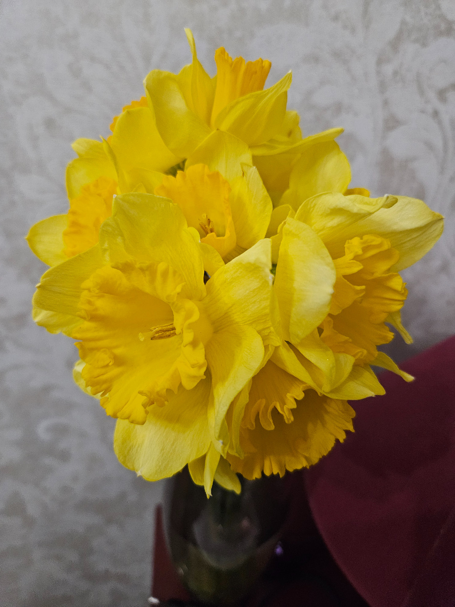 Весенние цаеточки