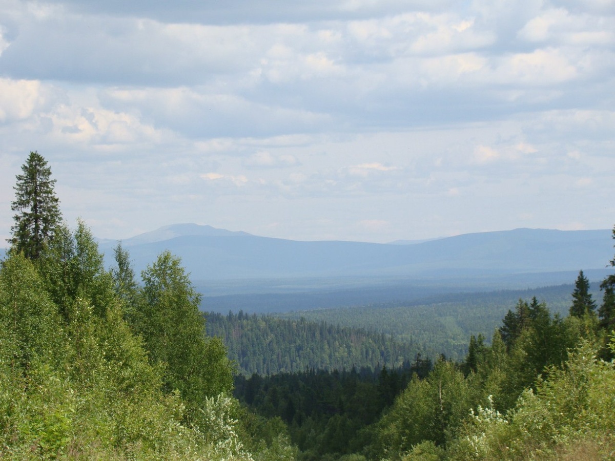 Нам вон туда.