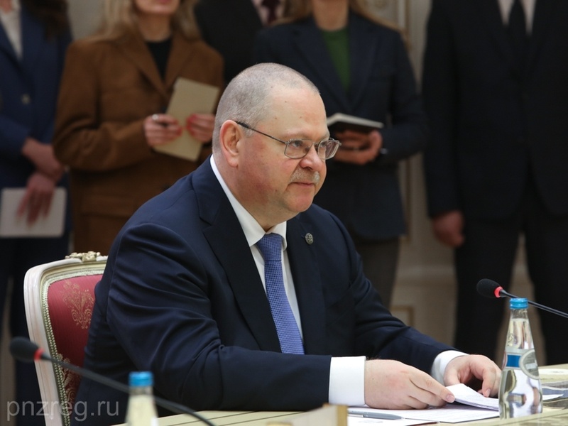    © Фото из архива ИА «PenzaNews»