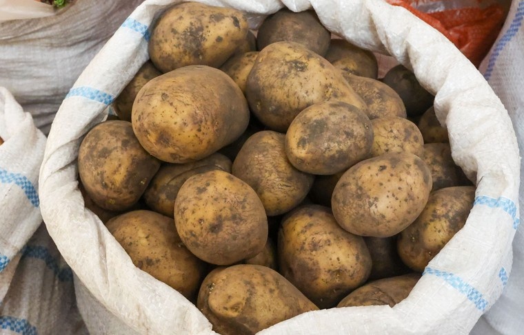    Сергей Петров/NEWS.ru