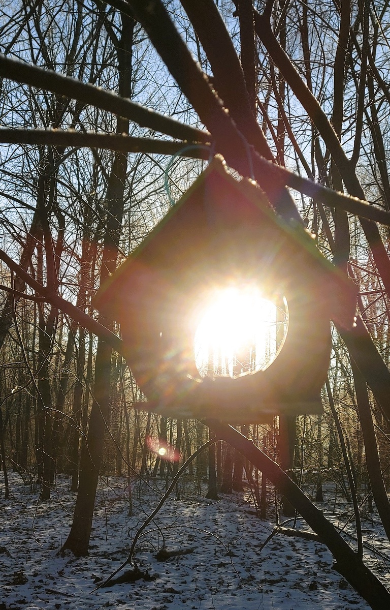 Автор фотографии - наша читательница Олеся А.