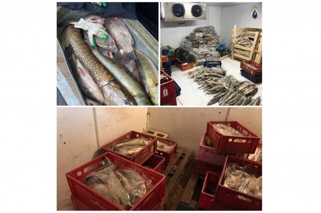    Фото: СУ СКР по Самарской области