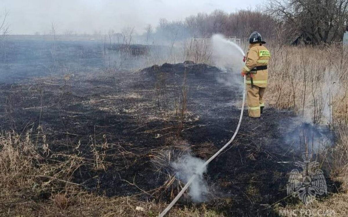    В Липецке возросло число возгораний мусора и травы МЧС РФ