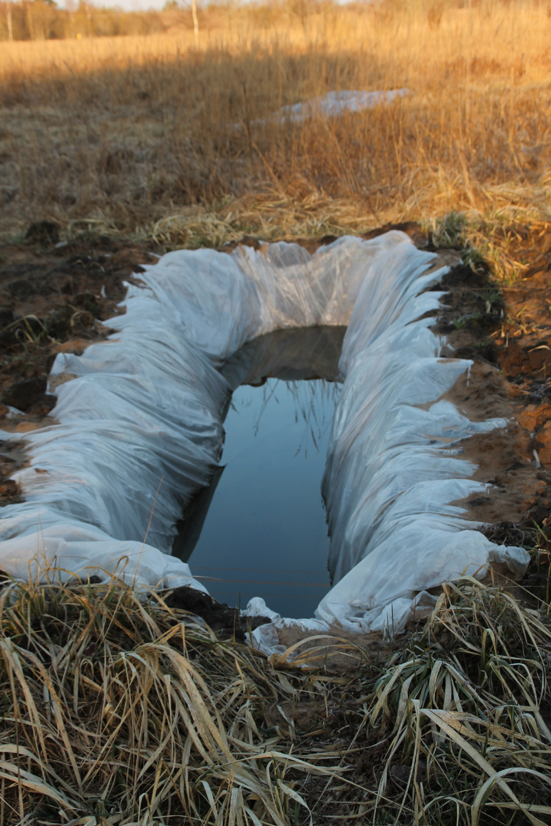 Где-то в Псковской деревне. Фото Автора.