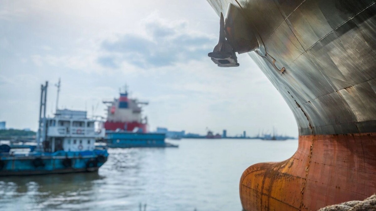     Источник: fanjianhua/freepik.com