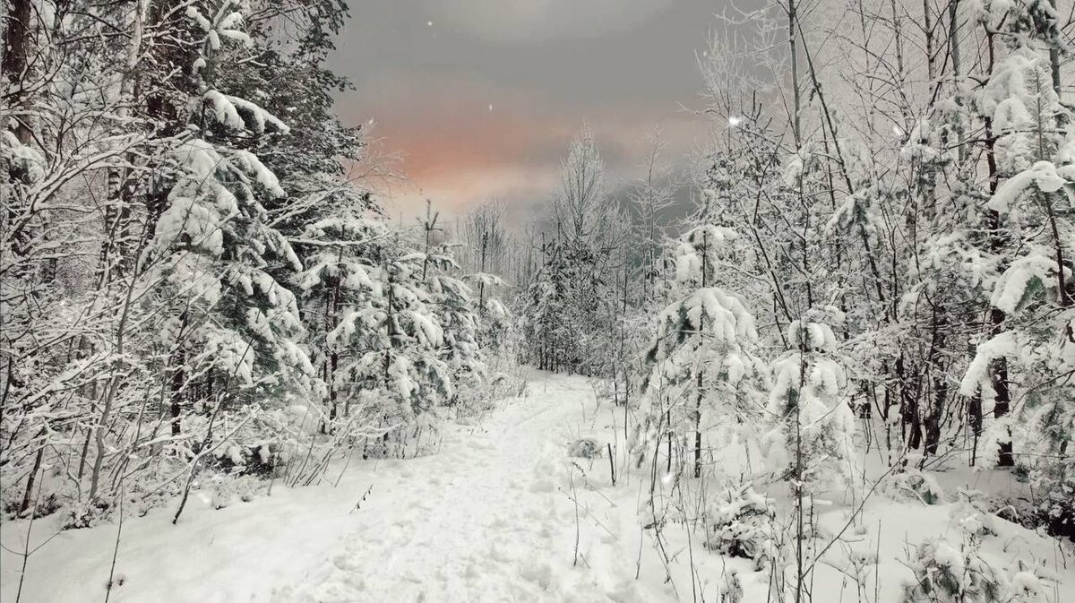 Русская зима