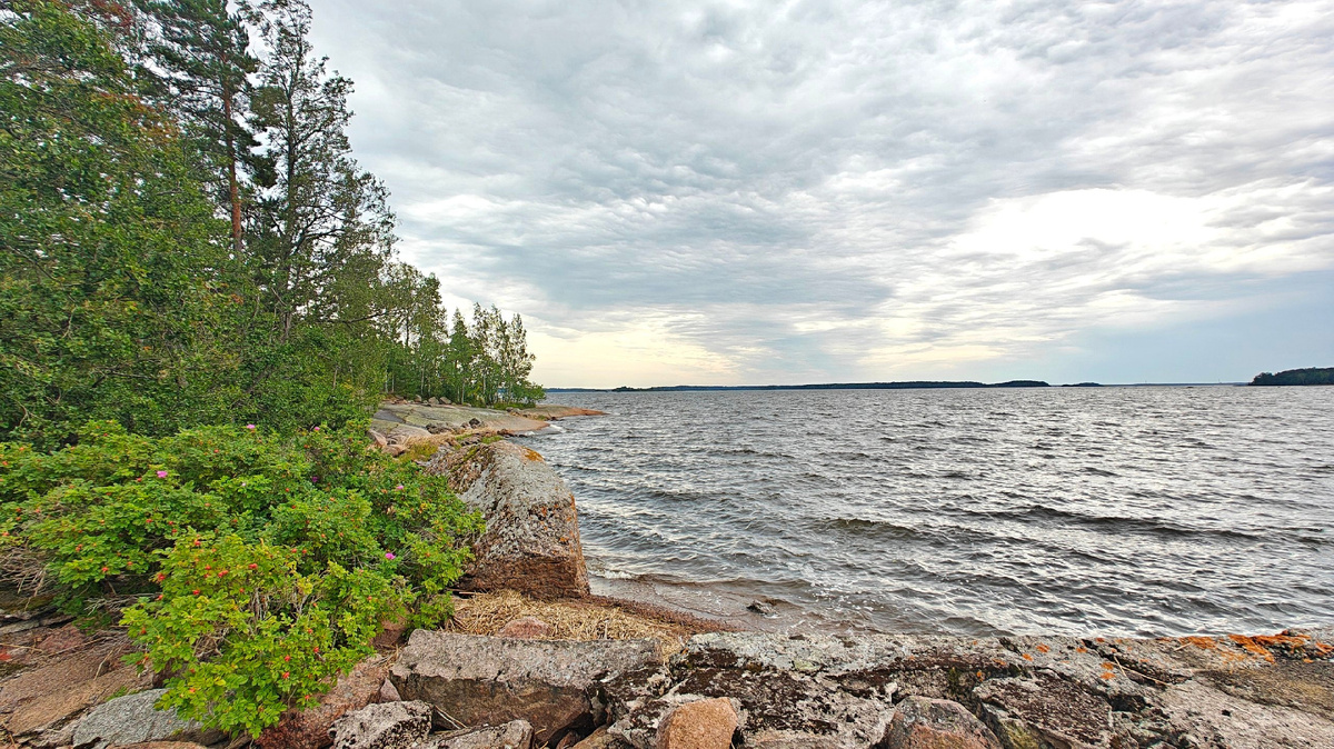 Фото: Анастасия Данилова