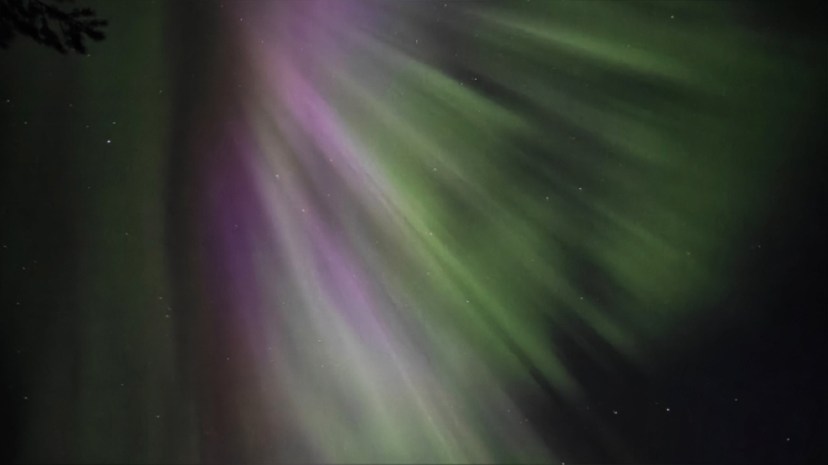 Фото: Анастасия Данилова