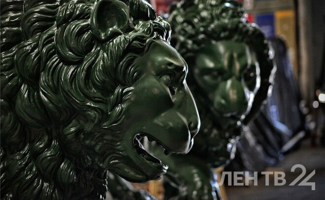    © Анастасия Илюшина / ЛенТВ24